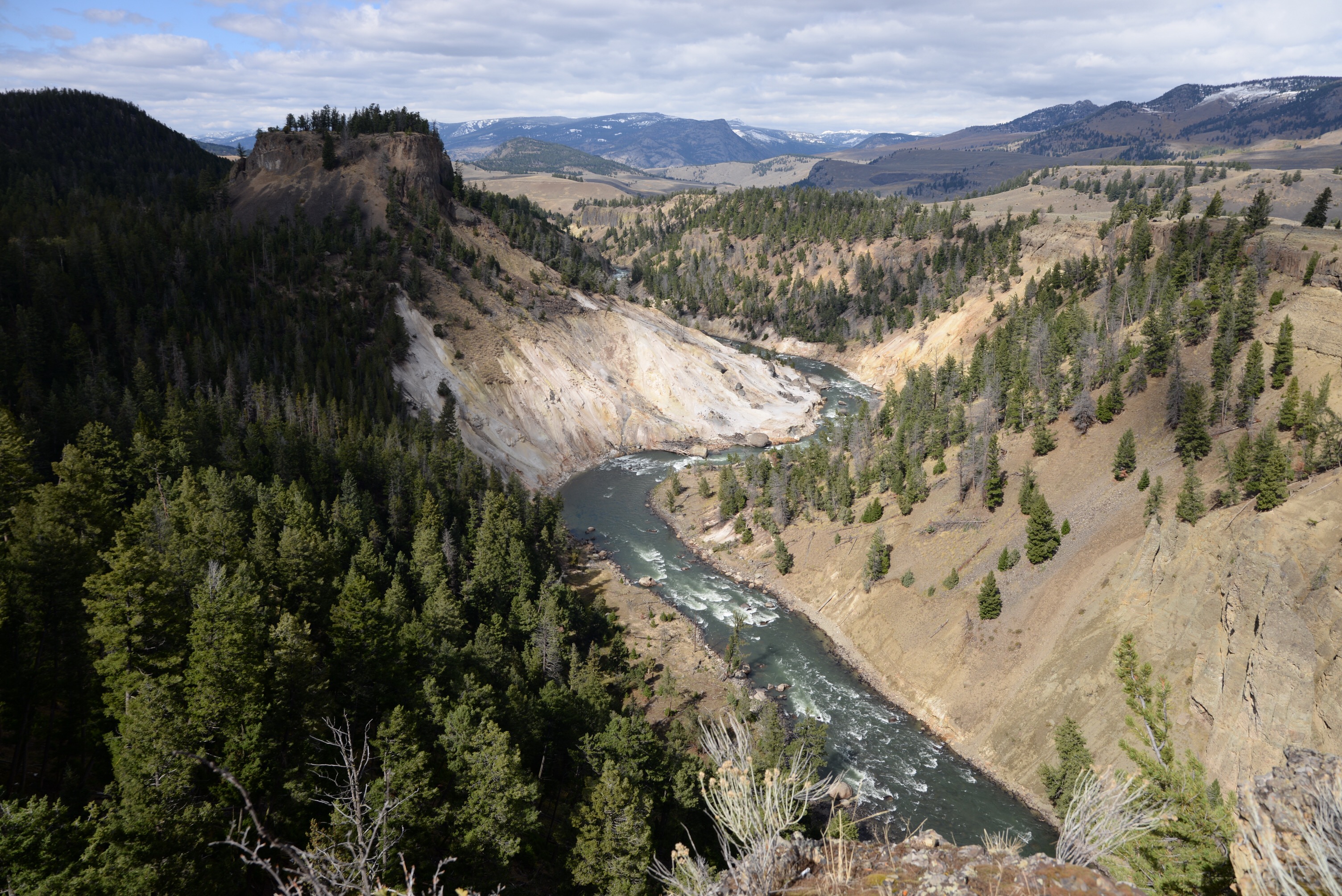 "194.jpg"